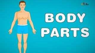 Body Parts Song For Children  Nursery Rhymes Collection by Kids Yogi [upl. by Weissman]