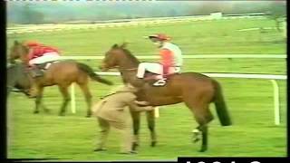 1981 Supreme Novice Hurdle Cheltenham Extended Footage [upl. by Boys]