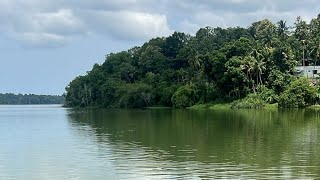 ശാസ്താംകോട്ട ശുദ്ധജല തടാകം  Shasthamkotta lake  lake shasthamkottalake kerala malayalam [upl. by Lhamaj]