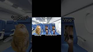 CAT MEMES 🐱 8 HOUR Flight To Japan catmemes relatable shorts [upl. by Caldwell81]