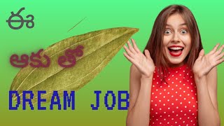 Ee leaf tho mee dream job ela🤔🤔 job lawofattraction manifestation [upl. by Amalita]