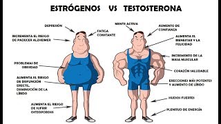 👨‍⚕️SALUD 001  ✅TESTOSTERONA BAJA y estrógenos altos💪 Consecuencias y COMO EVITARLO [upl. by Ensign511]