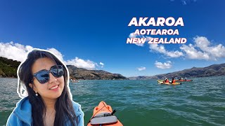 Akaroa Kayaking and Kaikōura Kahawai Catch and Cook [upl. by Burrow]