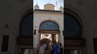 Gurdwara Shaheed Ganj ji Status 🙏  newshabad gurujishabad punjab trending gatka sikhism [upl. by Reggy]