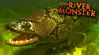 River Monster SnakeHead  Feed And Grow  Ep8 [upl. by Kelcy]