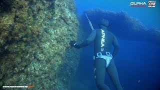 Chasse sous marine en corse  Chasse sous marine méditerranée 2018 [upl. by Atterol]