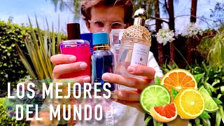 Los Mejores Perfumes Cítricos Del Mundo [upl. by Namielus]