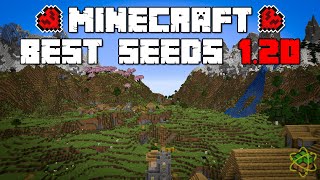 20 تا از بهترین سید های ماینکرافت برای شروع هاردکور  minecraft best seeds 120 [upl. by Tedric]