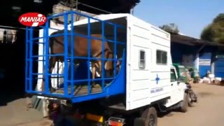 Animal Ambulance Van By Maniar Engineers Pvt Ltd Ahmedabad [upl. by Ciprian]