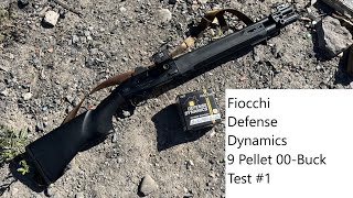 Fiocchi Defense Dynamics 9 Pellet Buck Patterning  Test 1 Beretta A300 Ultima Patrol [upl. by Anonyw]