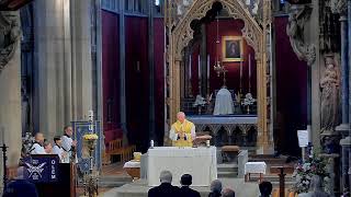 Memorial of St Joseph the Worker  May 1 [upl. by Latini]