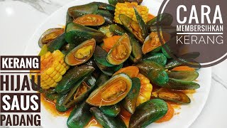 RESEP KERANG HIJAU SAUS PADANG dan cara membersihkan kerang [upl. by Ena158]