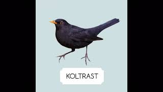 Koltrast läte [upl. by Glenn]