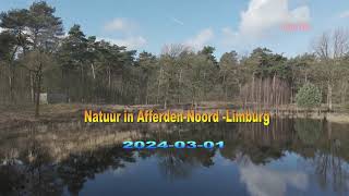 Natuur in Afferden Noord LimburgDJI Mini 4 Pro 2024 0301 [upl. by Liane]