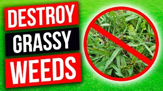 Crabgrass Dallisgrass Bahiagrass and Carpetgrass  Weed Control for Grassy Weeds in Your Lawn [upl. by Acinoev25]