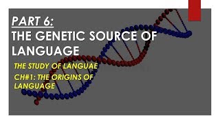 The Genetic Source of Language  Human Language is Genetically Inherited  The Origins of Language [upl. by Norved]