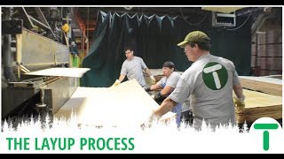 Hardwood Plywood Series  The Layup Process [upl. by Ketchum60]