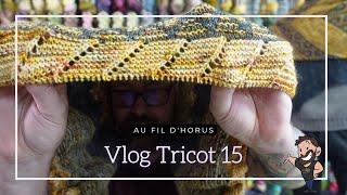 AU FIL DHORUS  Vlog Tricot 015 [upl. by Essilevi]