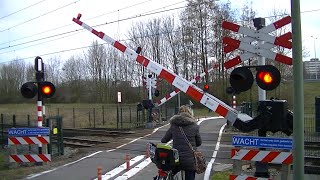 Spoorwegovergang Dordrecht Zuid  Dutch railroad crossing [upl. by Antonia]