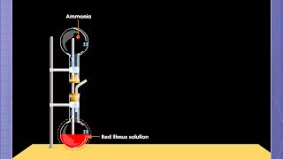 Ammonia Fountain Experiment [upl. by Anahsak693]