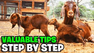 REVEALED How to be successful in goat farming  kalahari reds [upl. by Patsis]