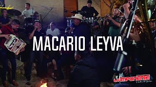 Macario película completa [upl. by Latrice]