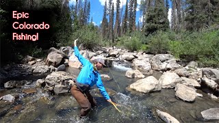 The TOP 10 fishing spots in Colorado  McFly Angler Fly Fishing [upl. by Matelda]