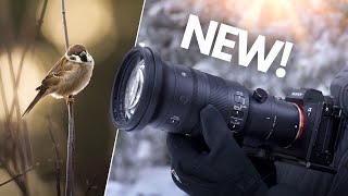 SIGMA 500mm f56 for SONY  Real World Review [upl. by Lovell328]