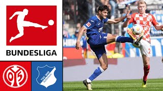 1 FSV Mainz 05 vs TSG 1899 Hoffenheim ᴴᴰ 13042024  29Spieltag  1 Bundesliga  FIFA 23 [upl. by Kelcey]