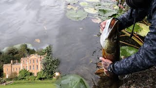 Pike Fishing with Lures ESTATE LAKE [upl. by Kurtzig]