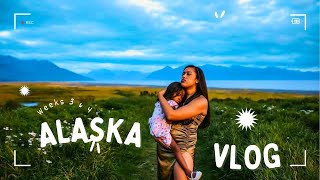 Anchorage Alaska Vlog  Weeks 3 amp 4  Wildlife Conservation Center Nightlife Sightseeing [upl. by Bennir437]