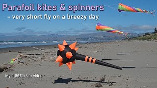 Parafoil kites amp spinners  short fly on a breezy day [upl. by Preciosa]