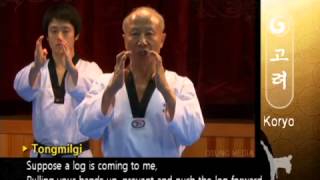 Poomsae Koryo  WTF  Grand Master Kyu Hyung Lee [upl. by Eendys]