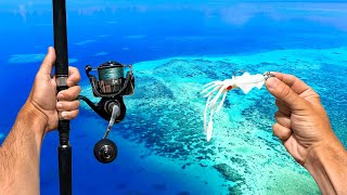 Fishing The Worlds LARGEST Reef [upl. by Blanca]