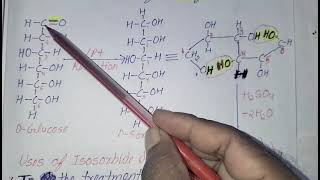 Isosorbide dinitrate synthesis Antianginal drug B Pharm Third year fifth semester New PCI syllabus [upl. by Hochman437]