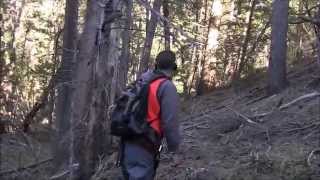 Epic Bigfoot Expedition Most Evidence One Expedition [upl. by Dacy445]