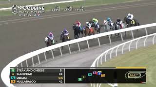 Woodbine Tbred November 19 2023 Race 2 [upl. by Diraf919]