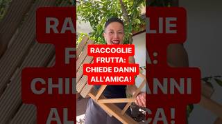 DIRITTOINPILLOLE  RACCOGLIE FRUTTA CHIEDE DANNI ALLAMICA [upl. by Kloman613]