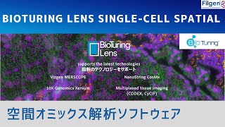 シングルセル空間オミックスデータや空間プロテオミクスデータを探索する BioTuring Lens Singlecell spatial [upl. by Drugge791]