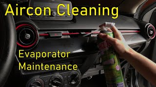 How to Clean your Cars Evaporator  Air Conditioning System [upl. by Eartnoed]