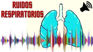 ♐ Crepitantes Sibilantes Roncus Estridor y Murmullo Vesicular Normal 🎓 Semiologia Respiratória [upl. by Norvil]