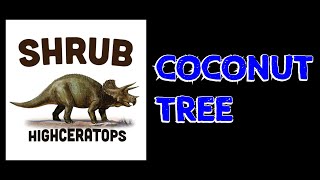 Coconut Tree  Shrub lyric video [upl. by Uos]