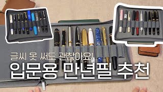 입문용 만년필 추천🖋 글씨 못 써도 괜찮아요  파이롯트 캡리스 몽블랑 펠리칸 펠리카노 오로라 레오나르도 델타 카쿠노 베일리 라이트 트위스비 영생 698 [upl. by Danyette]