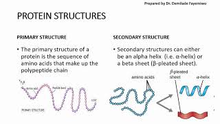 Chapter 23 Biological Molecules  Proteins [upl. by Reifel]