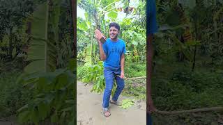 Hamster kombat এর শোকে পাগল হয়ে গেল hamsterkombat bike r15 iphone16 funnyshorts [upl. by Biagi244]