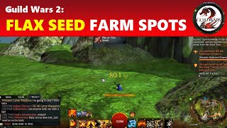 Guild Wars 2 Easy Flax Seed Farming Locations [upl. by Harbed]