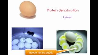 protein digestion and denaturation [upl. by Annelise]