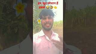 Mere ghar wale kahate haicomedy 🤣funny salmankhan trending viral funnypictur funnyvideos fi [upl. by Luigi]