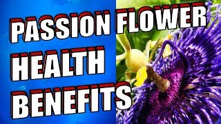 PASSION FLOWER REVIEW  Amazing Health Benefits and Uses for Anxiety Sleep amp Tea [upl. by Lleihsad]