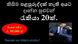 Top Job Vacancies in Sri Lanka for August 2024 Dont Miss Out [upl. by Elin92]